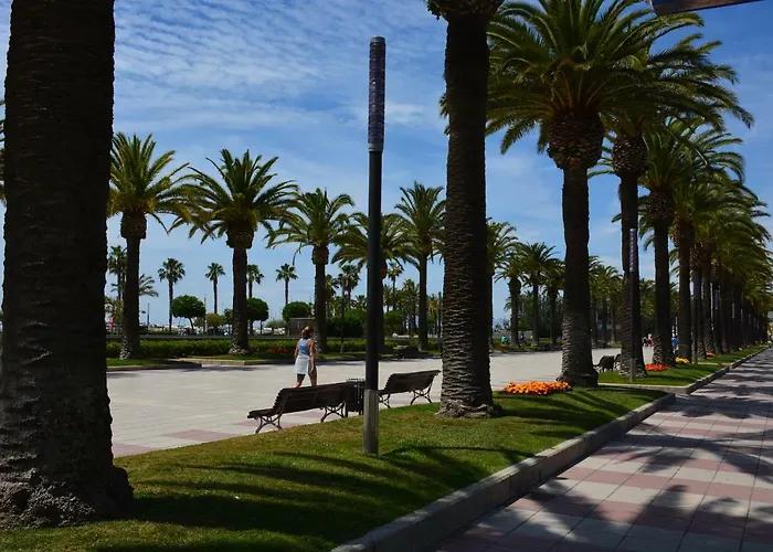 Carrer Del Fonoll Daire *